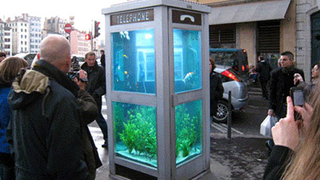 Phone Booths Learn to Adapt in the Cellphone Era